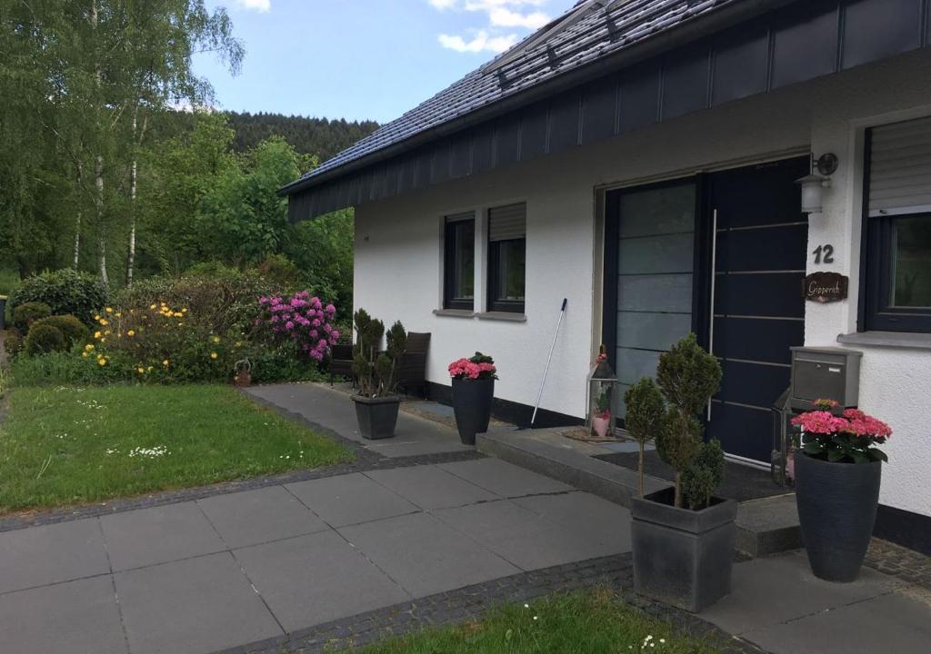 a house with potted plants in front of it at Luxus-Ferienwohnung Saalhausen in Saalhausen