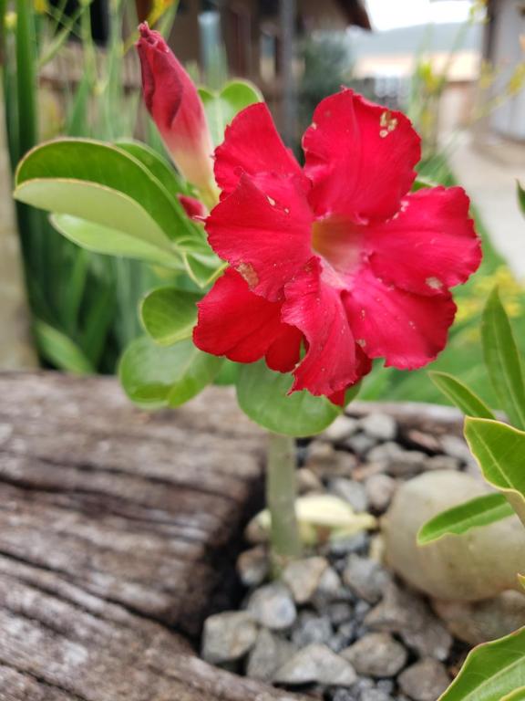  Pousada Canto Dos Passaros