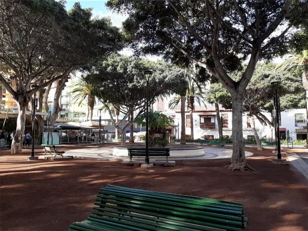 Fotografie z fotogalerie ubytování San Pedro Family Beach v destinaci Puerto de la Cruz