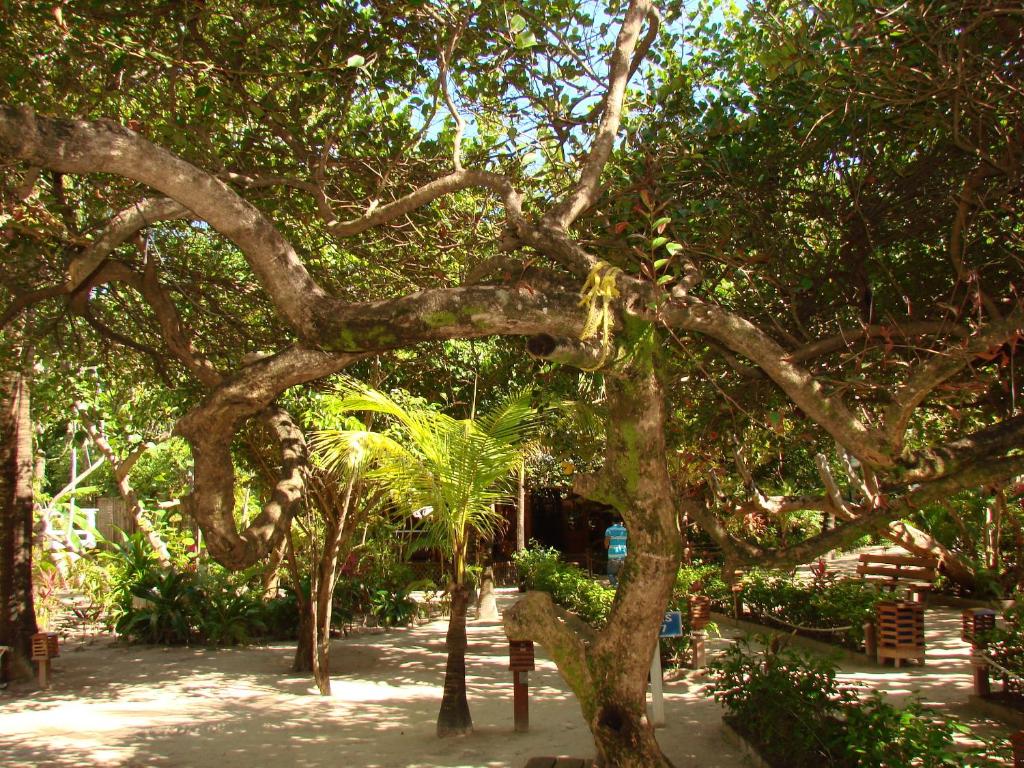 Zahrada ubytování Paradise Beach Hotel & Resort