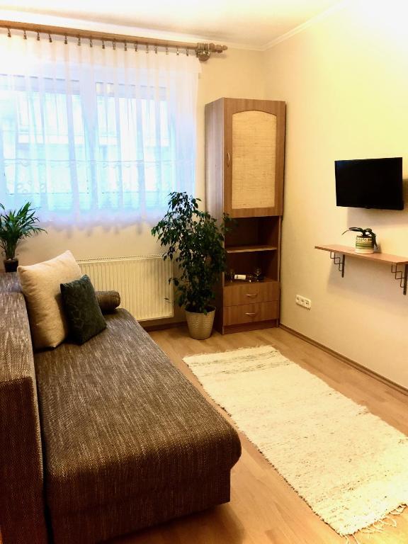 Televízia a/alebo spoločenská miestnosť v ubytovaní Hévíz Lake Apartman