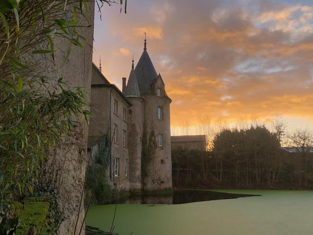ein altes Schloss mit einem See davor in der Unterkunft Château de la Preuille Bed & Breakfast in Montaigu-Vendée