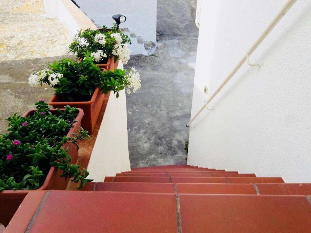 Gallery image of La casa di Nonno in Fasano