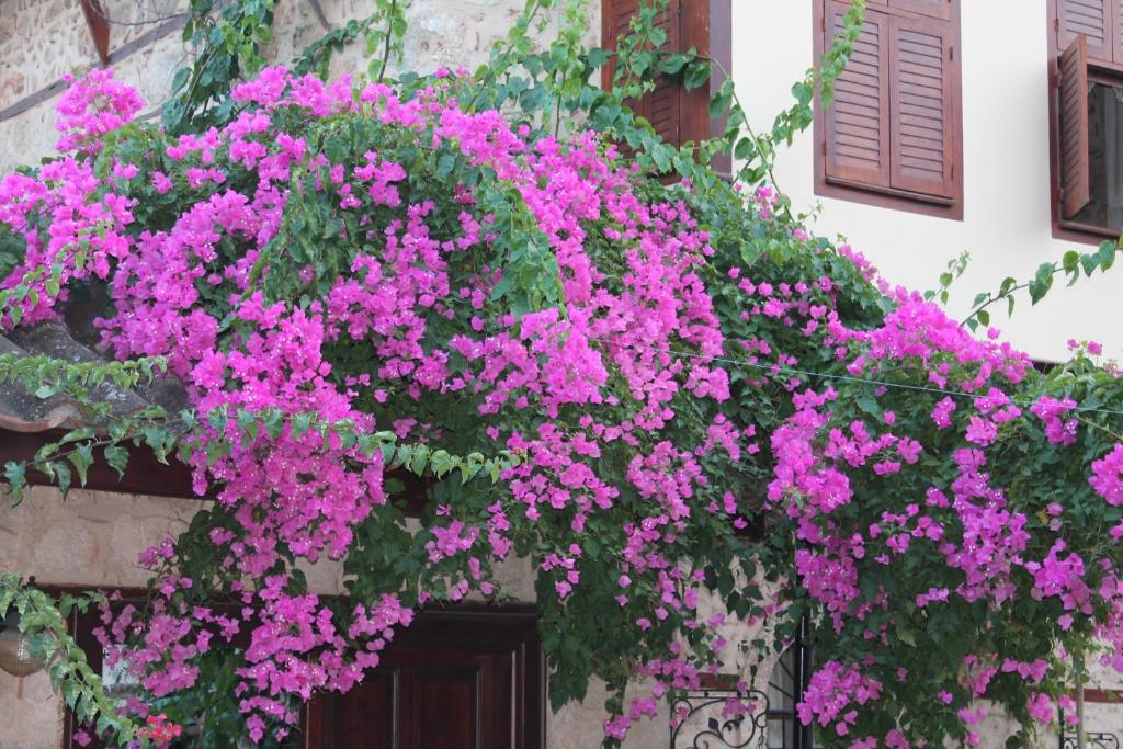 تصویر اتاق‌های هادریان گیت - تصویر ۲