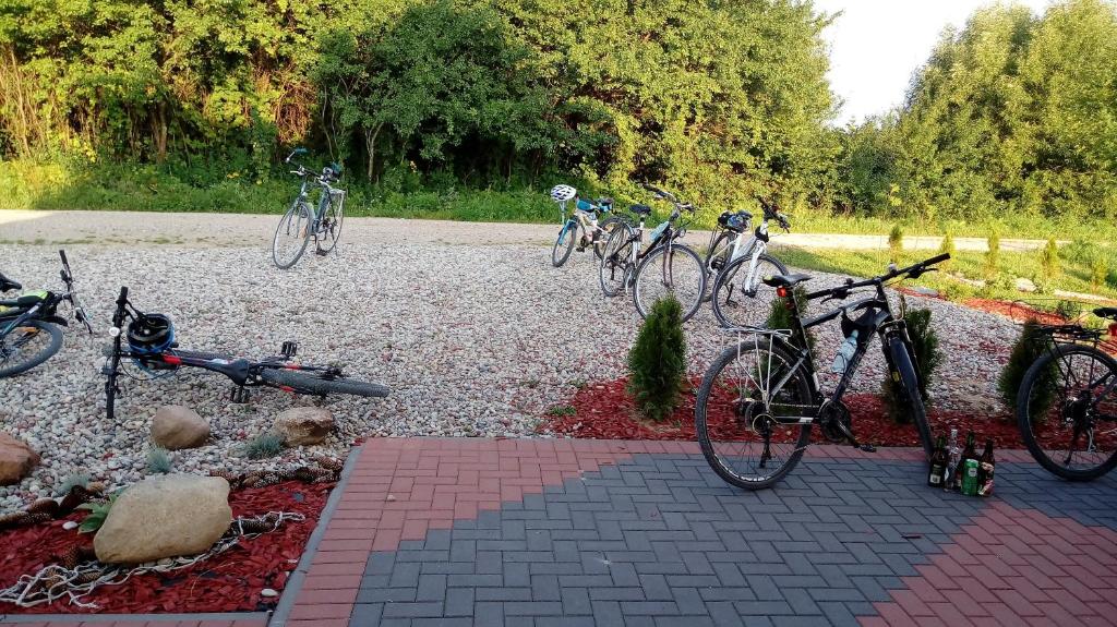 um grupo de bicicletas estacionadas numa estrada de cascalho em Przy Trójstyku em Dubeninki