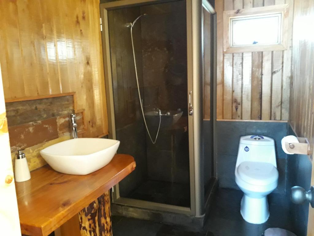 y baño con lavabo, aseo y ducha. en Hostal Andalue, en Puerto Fuy