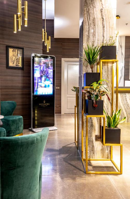 TV a/nebo společenská místnost v ubytování Sevsamora Resort & Spa