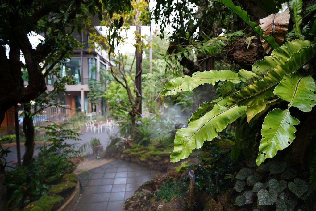 Jardín al aire libre en Treescape Resort Chiangmai
