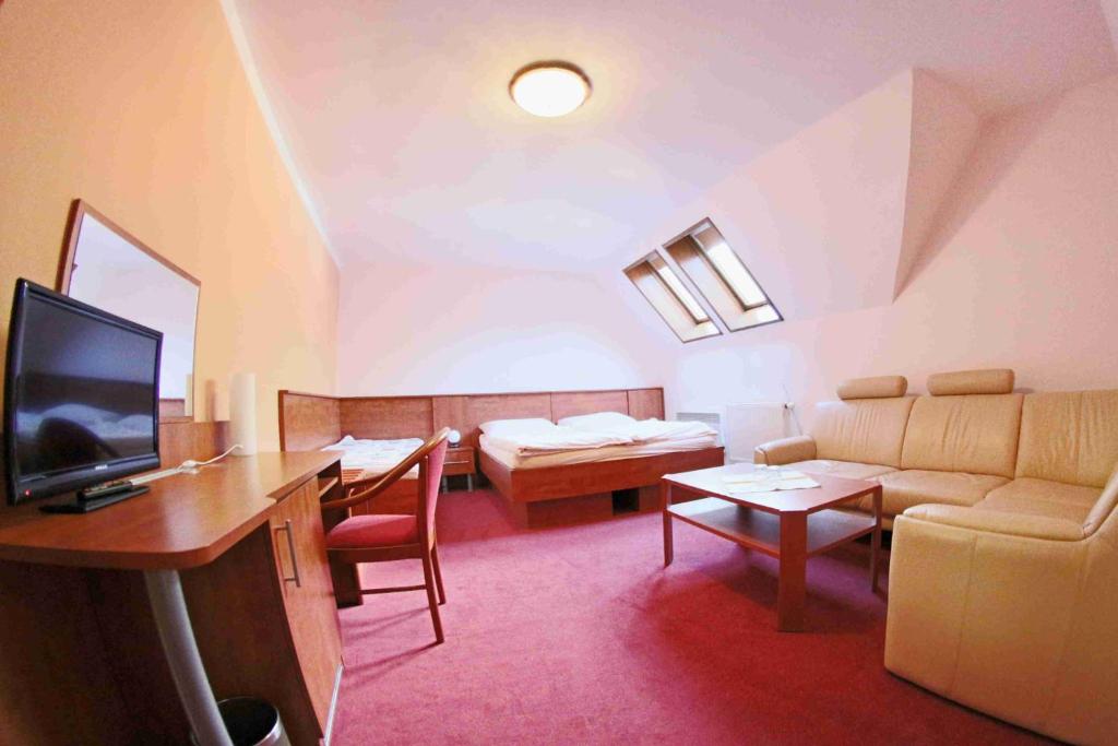 TV a/nebo společenská místnost v ubytování Hotel Koruna