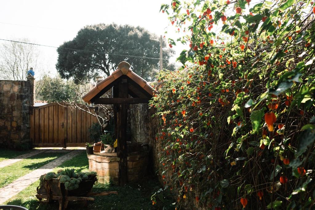 Apartamentos Y Posada El Cafetal - 
