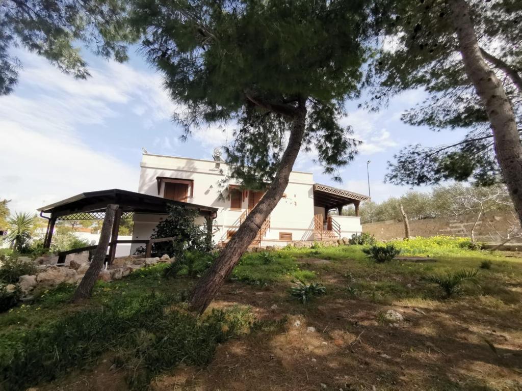 Giardino di La Casa Nella Pineta - Gallipoli
