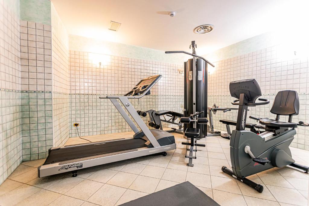 Fitness centrum a/nebo fitness zařízení v ubytování Hotel Cristallo