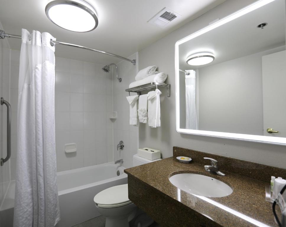 Holiday Inn O'Hare Area, an IHG Hotel - Standaard Queen Room