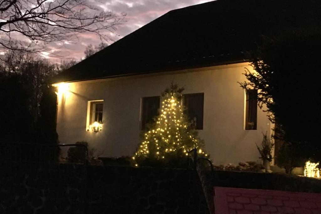 Fotografie z fotogalerie ubytování apartmán U památného stromu v destinaci Česká Lípa