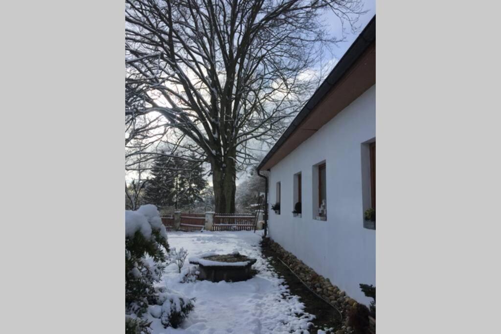 Fotografie z fotogalerie ubytování apartmán U památného stromu v destinaci Česká Lípa