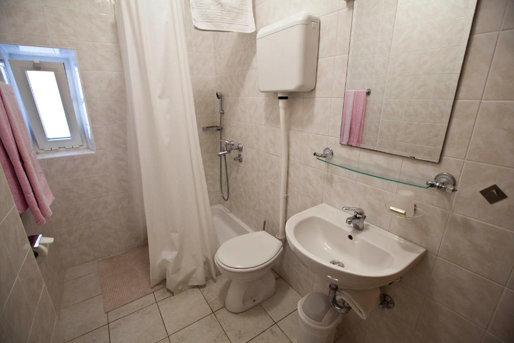 a bathroom with a toilet and a sink and a shower at Accommodation Family Magazin in Žuljana