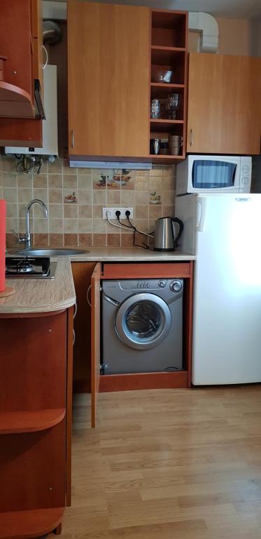 Kuchyň nebo kuchyňský kout v ubytování Grafovi Apartments