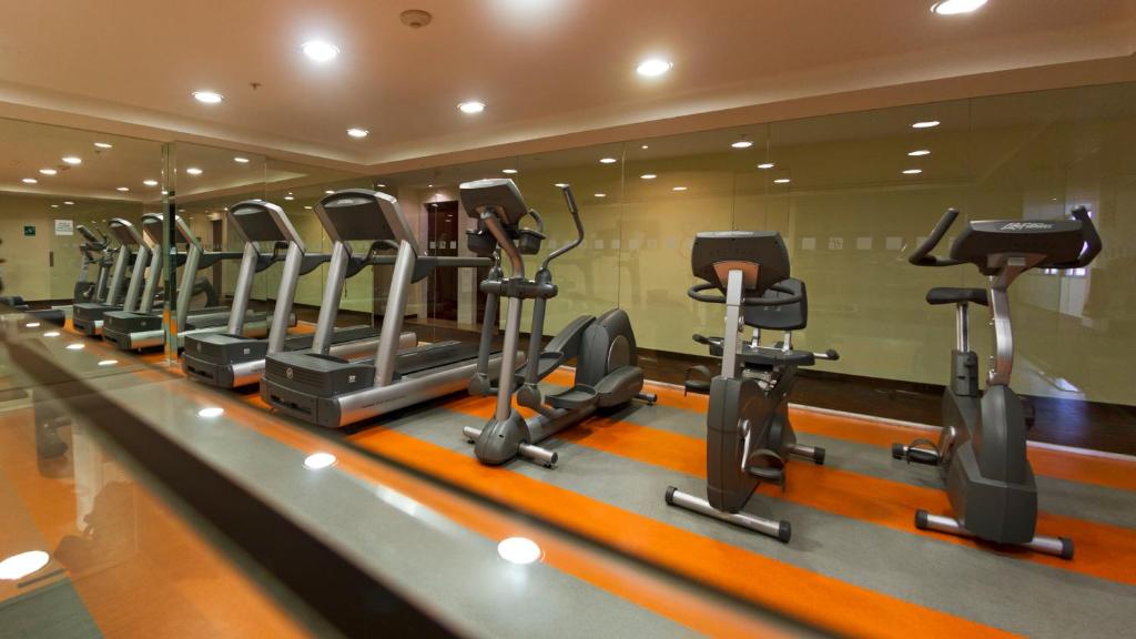A mirrored cardio room lined with treadmills, ellipticals, and exercise bikes.