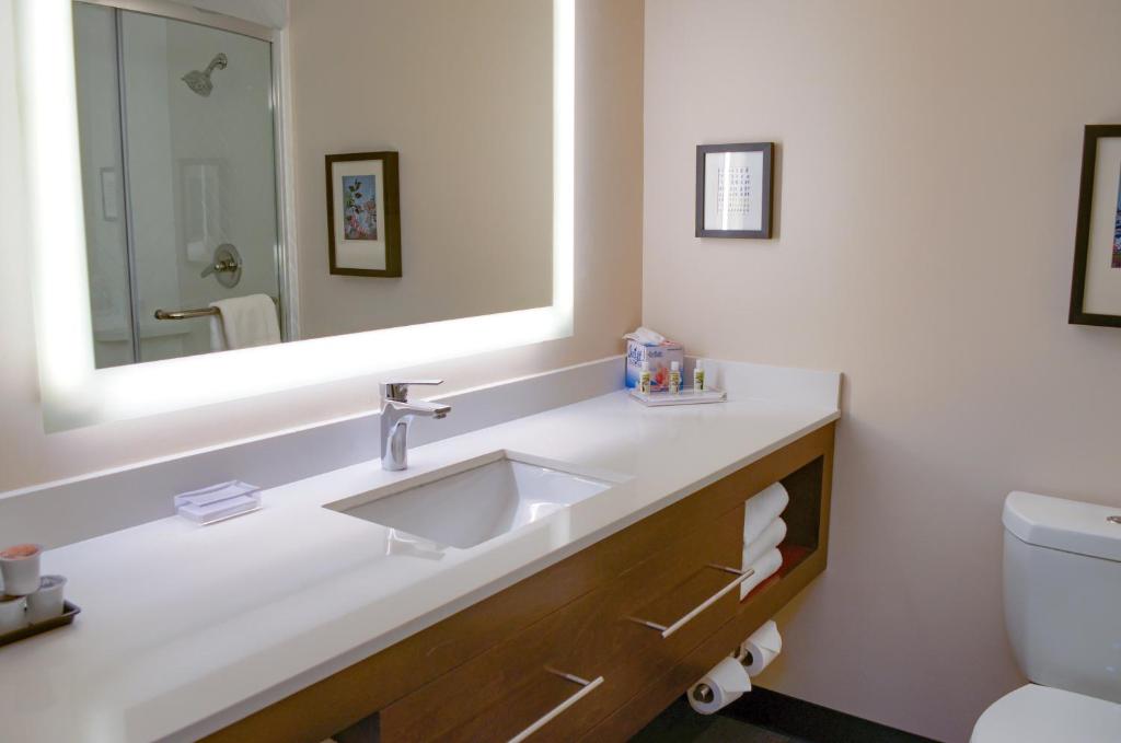 Holiday Inn Mobile West I-10 by IHG - Room King Estándar