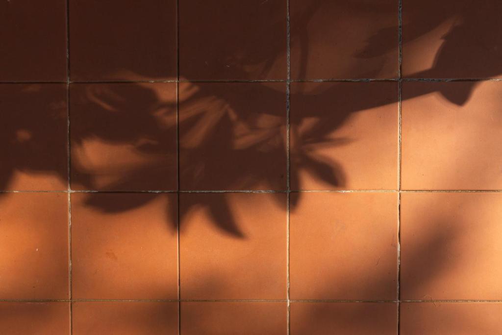 Fotografie z fotogalerie ubytování The Alison Randwick v destinaci Sydney