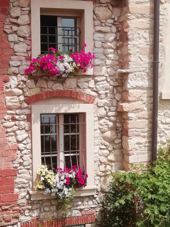 Zahrada ubytování Corte Tre Vigne