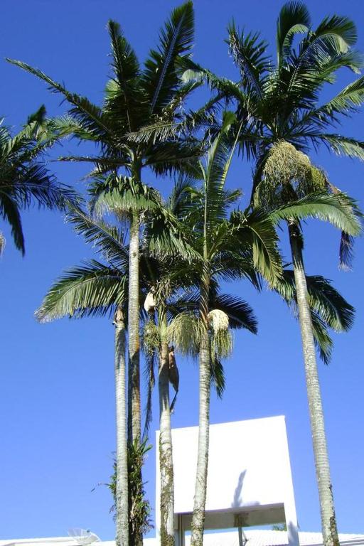  Hotel Rainha