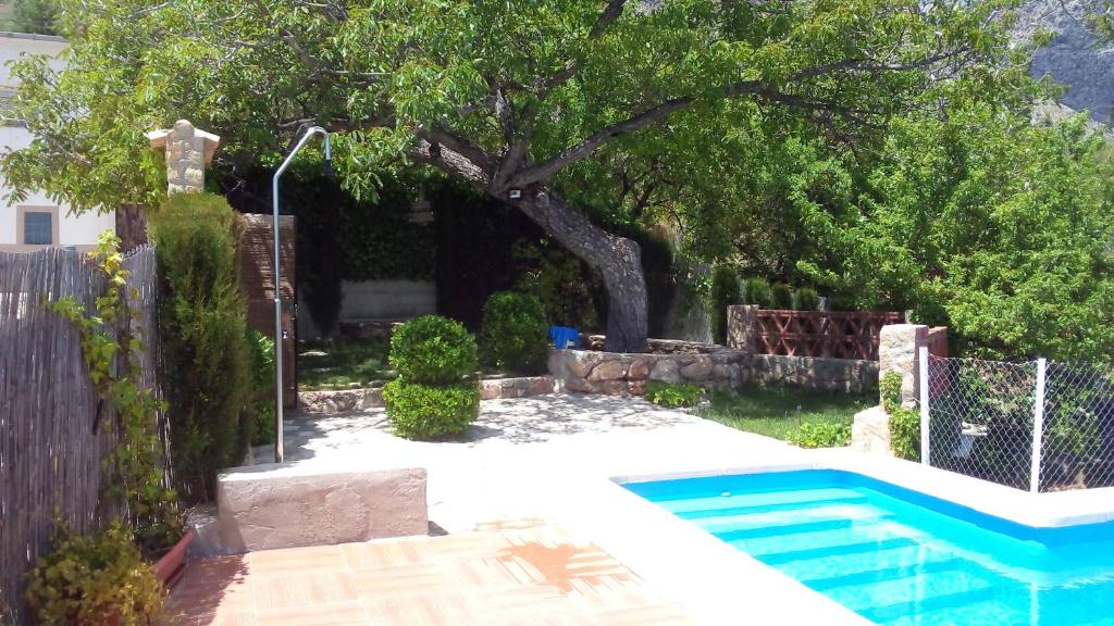 un patio trasero con un árbol y una piscina en Casa rural Alojamiento Garganton, en Cabrita