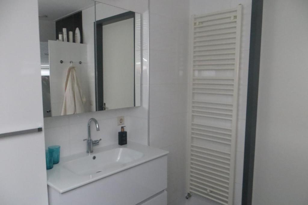 Koupelna v ubytování B&B Biesehof