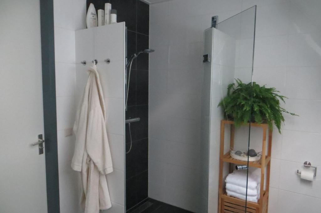 Koupelna v ubytování B&B Biesehof