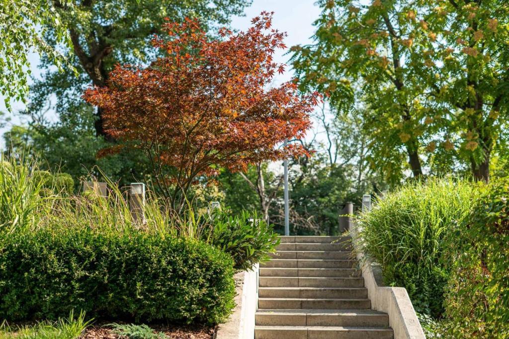 Art Apart nad Olawa Wroclaw - Resim 39