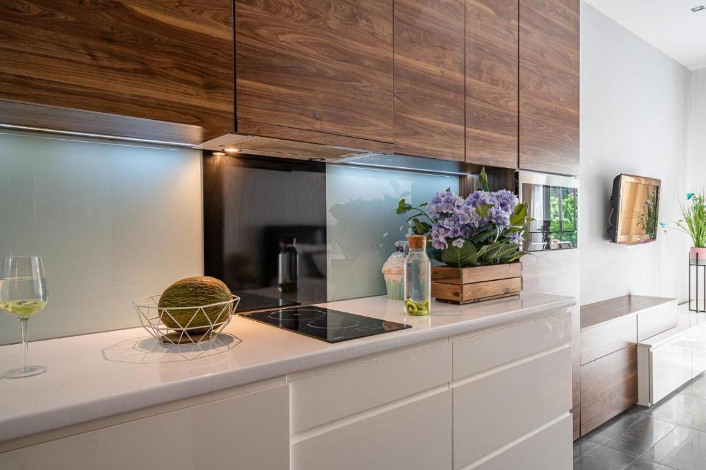 Art Apart nad Olawa Wroclaw - Resim 17