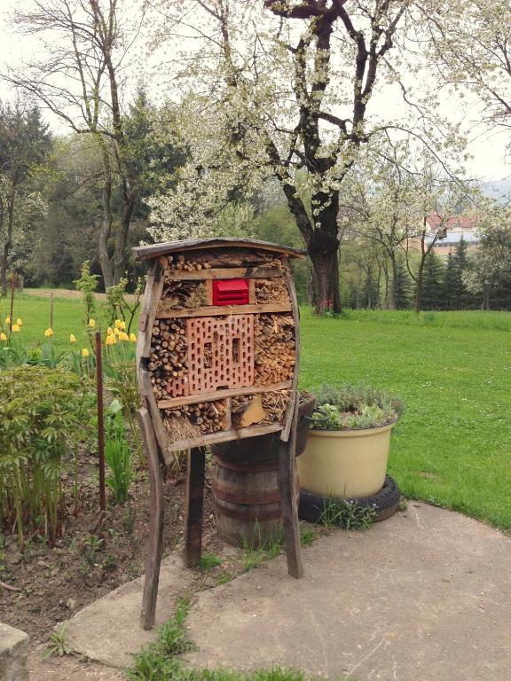 Zahrada ubytování Gasthof-Hotel zur Linde
