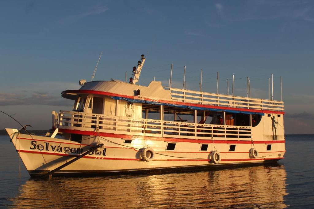Selvagem Tours