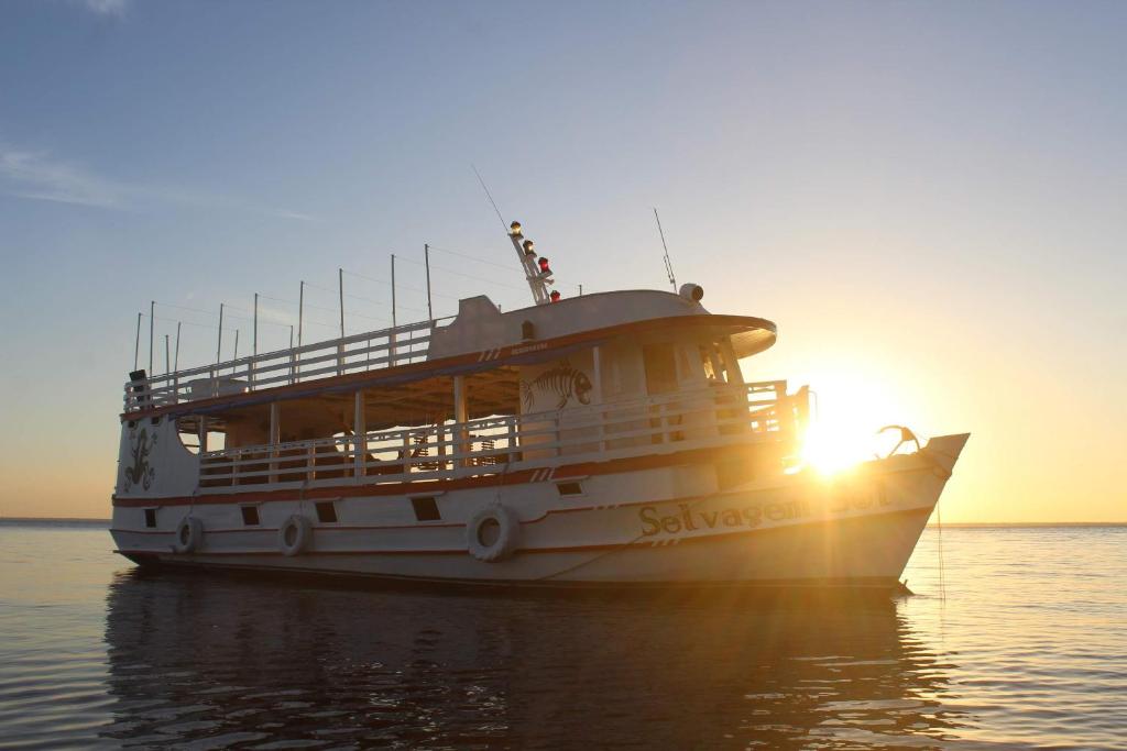 Selvagem Tours