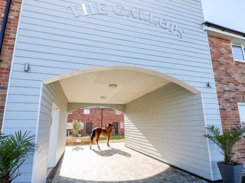 Seabiscuit - Housity
