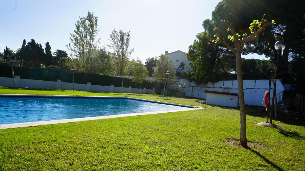 a small tree in the grass next to a swimming pool at Villa Paradise by MarCalma in Montroig