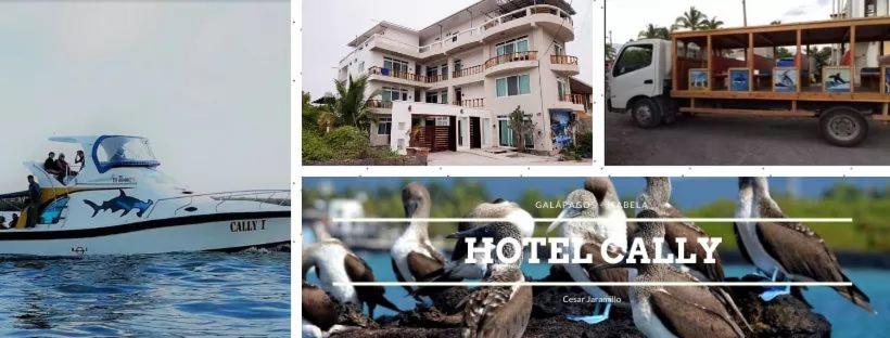 Fotografie z fotogalerie ubytování Hotel Cally v destinaci Puerto Villamil