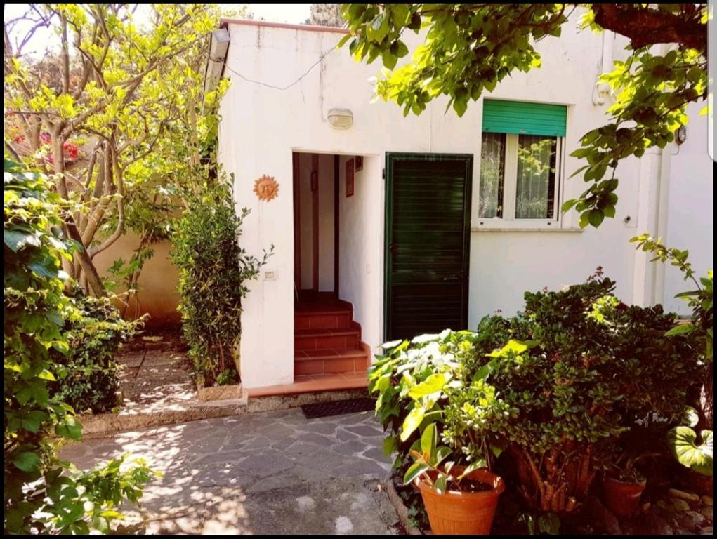 a white house with a green door and some plants at Cavo Beach 4 in Cavo