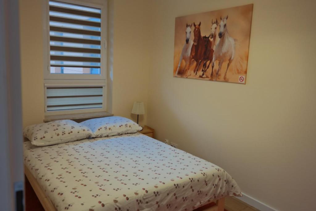 Apartament al. Solidarności - 6