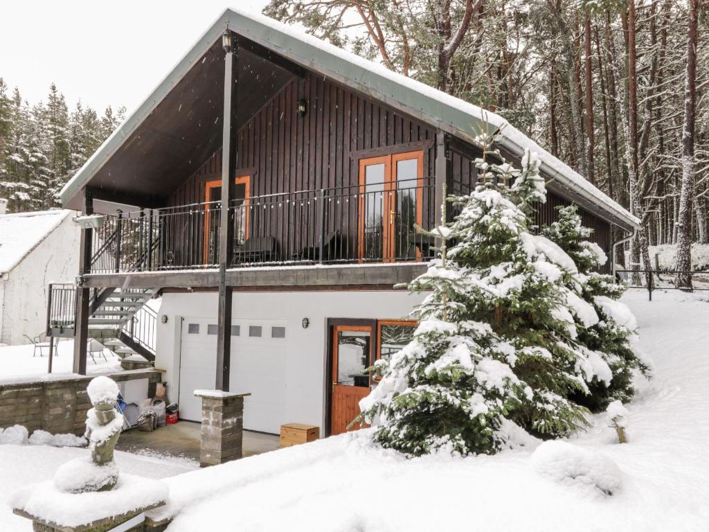 a cabin in the snow with a christmas tree at Torbreck Chalet in Kingussie