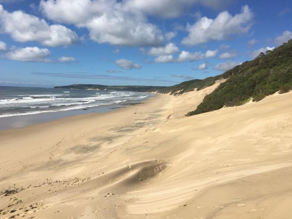 a sandy beach with footprints in the sand at Marlin Cottage in Chintsa