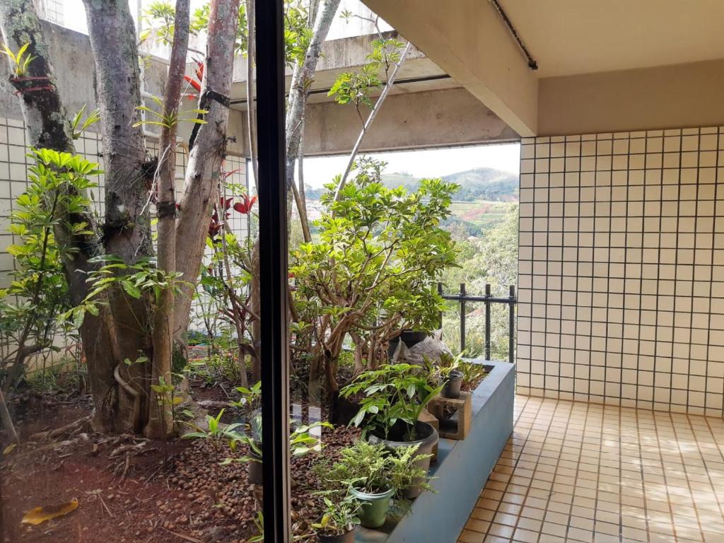  Casa Pitaya