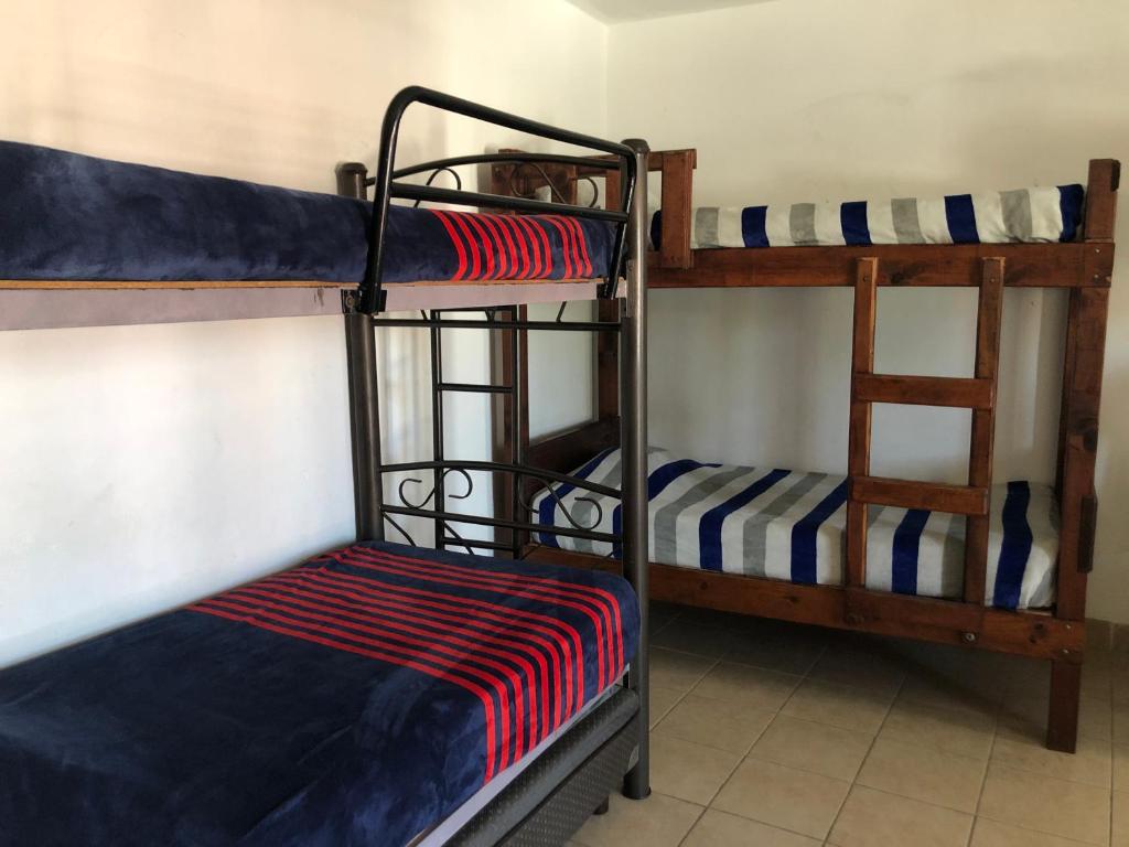 Palanda nebo palandy na pokoji v ubytování Hostel Inn