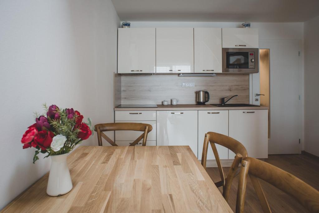 Kuchyň nebo kuchyňský kout v ubytování Apartmán Lipno nad Vltavou