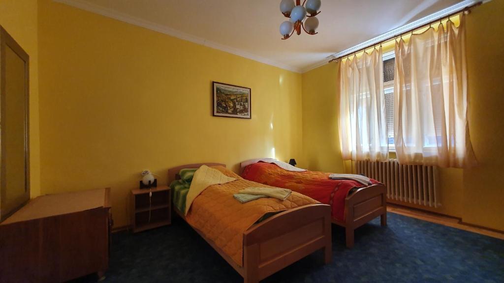1 dormitorio con 2 camas y ventana en Apartment Roxana en Novi Sad
