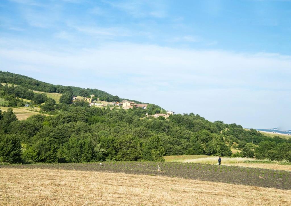 Táj Show country houses közelében