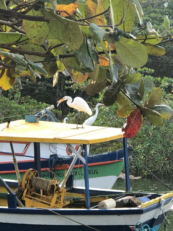 Sobrado e Casa em Ubatuba