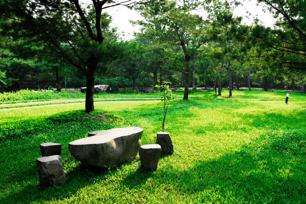 a bath tub sitting in the grass in a park at Zen and Pine Resort in Shuili
