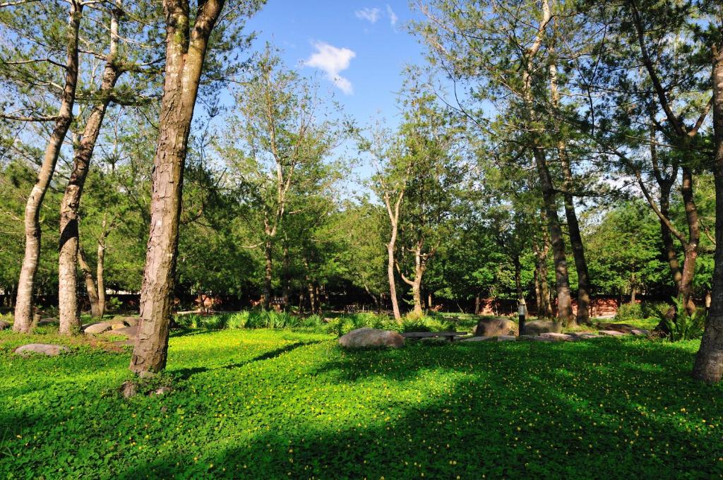 a field of green grass with trees and rocks at Zen and Pine Resort in Shuili