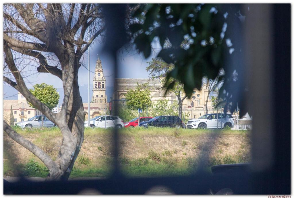 Apartamento Los Padrinos - 1